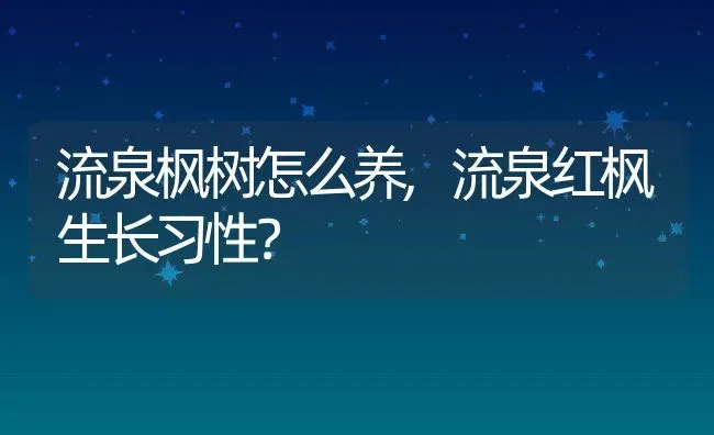 流泉枫树怎么养,流泉红枫生长习性？ | 养殖常见问题