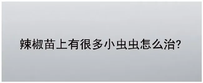 辣椒苗上有很多小虫虫怎么治? | 三农答疑