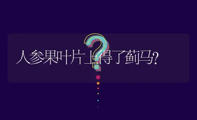 人参果叶片上得了蓟马? | 养殖问题解答