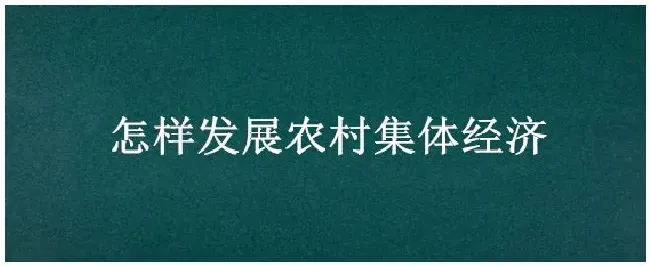 怎样发展农村集体经济 | 三农答疑