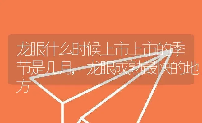龙眼什么时候上市上市的季节是几月,龙眼成熟最快的地方 | 养殖常见问题