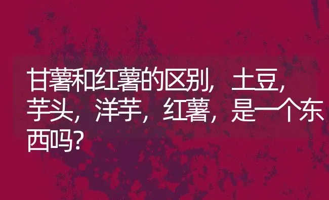 甘薯和红薯的区别,土豆，芋头，洋芋，红薯，是一个东西吗？ | 养殖常见问题