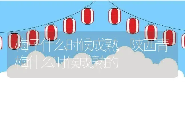 梅子什么时候成熟,陕西青梅什么时候成熟的 | 养殖常见问题