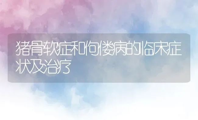 猪骨软症和佝偻病的临床症状及治疗 | 养殖常见问题
