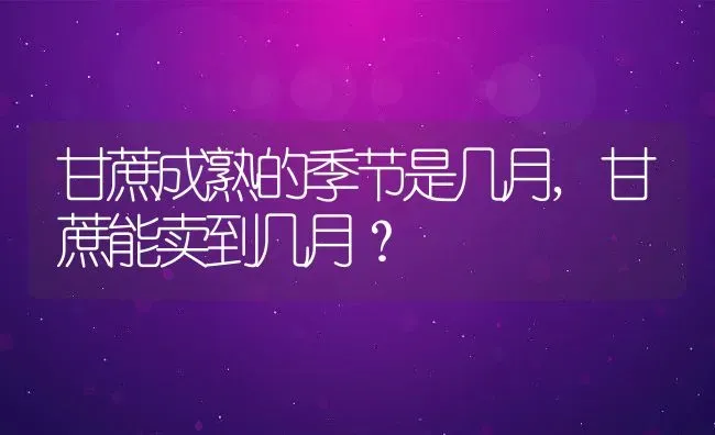 甘蔗成熟的季节是几月,甘蔗能卖到几月？ | 养殖常见问题