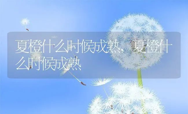 夏橙什么时候成熟,夏橙什么时候成熟 | 养殖常见问题