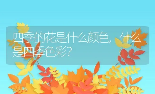 四季的花是什么颜色,什么是四季色彩？ | 养殖常见问题