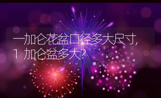 一加仑花盆口径多大尺寸,1加仑盆多大？ | 养殖常见问题