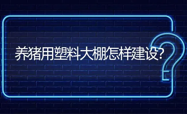 养猪用塑料大棚怎样建设? | 养殖问题解答