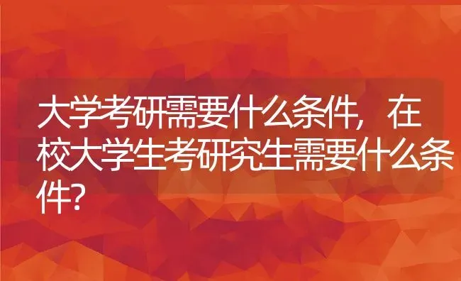 大学考研需要什么条件,在校大学生考研究生需要什么条件？ | 养殖常见问题