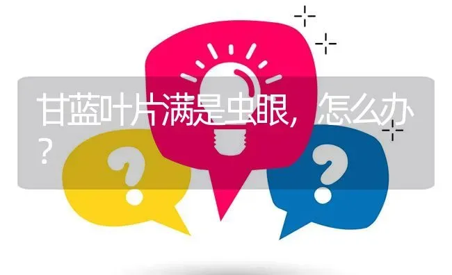 甘蓝叶片满是虫眼,怎么办? | 养殖问题解答