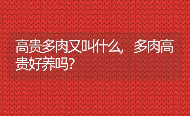 高贵多肉又叫什么,多肉高贵好养吗？ | 养殖常见问题