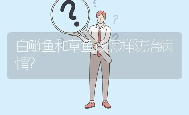 白鲢鱼和草鱼该怎样防治病情? | 养殖问题解答