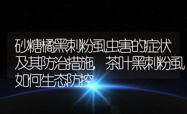 砂糖橘黑刺粉虱虫害的症状及其防治措施,茶叶黑刺粉虱如何生态防控 | 养殖常见问题