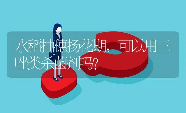 葡萄气灼病怎么办?     ? | 养殖问题解答