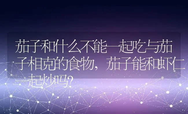 茄子和什么不能一起吃与茄子相克的食物,茄子能和虾仁一起炒吗？ | 养殖常见问题