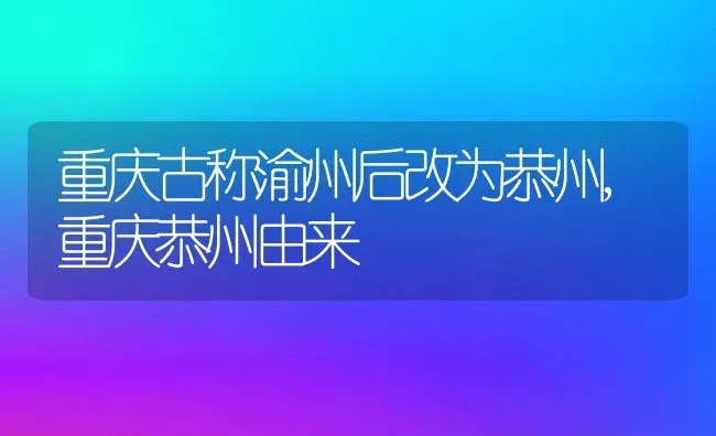 重庆古称渝州后改为恭州,重庆恭州由来 | 养殖常见问题