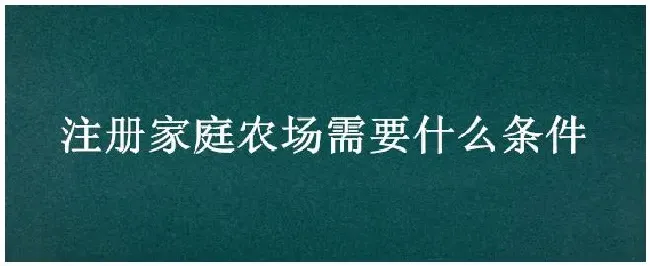 注册家庭农场需要什么条件 | 农业问题