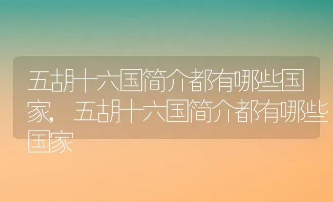 五胡十六国简介都有哪些国家,五胡十六国简介都有哪些国家 | 养殖常见问题