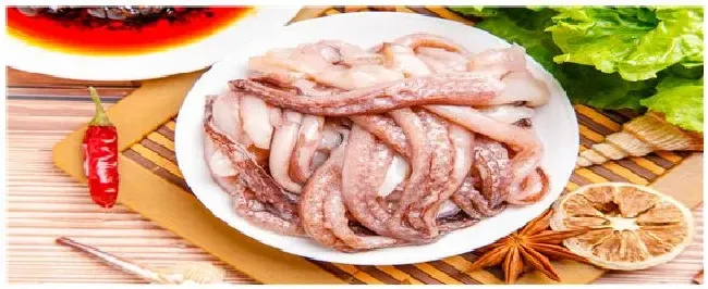 鱿鱼是乌贼吗 | 三农问答