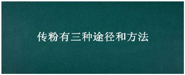 传粉有三种途径和方法 | 农业常识