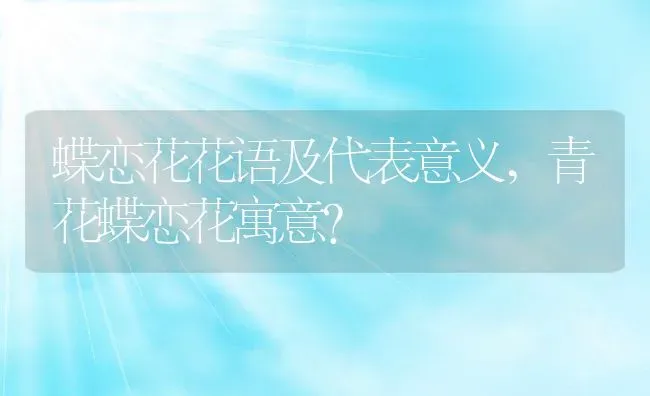 蝶恋花花语及代表意义,青花蝶恋花寓意？ | 养殖常见问题