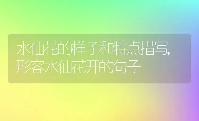 桔梗可以泡水喝吗,桔梗可以泡水喝吗 | 养殖常见问题