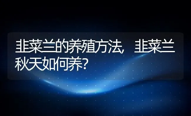 韭菜兰的养殖方法,韭菜兰秋天如何养？ | 养殖常见问题