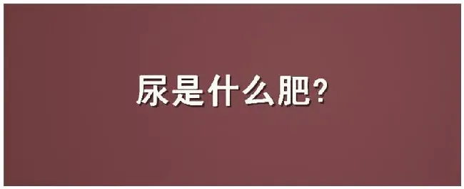 尿是什么肥 | 农业答疑