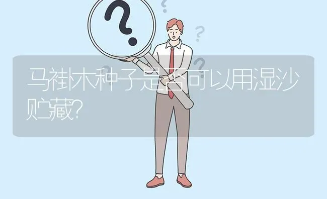 马褂木种子是否可以用湿沙贮藏? | 养殖问题解答