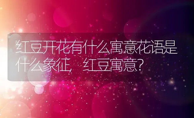 红豆开花有什么寓意花语是什么象征,红豆寓意？ | 养殖常见问题