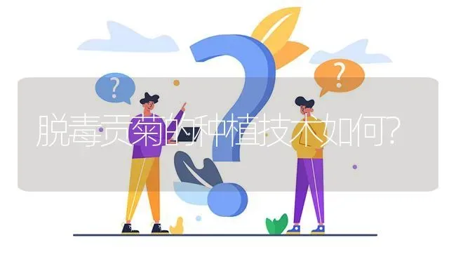 脱毒贡菊的种植技术如何? | 养殖问题解答