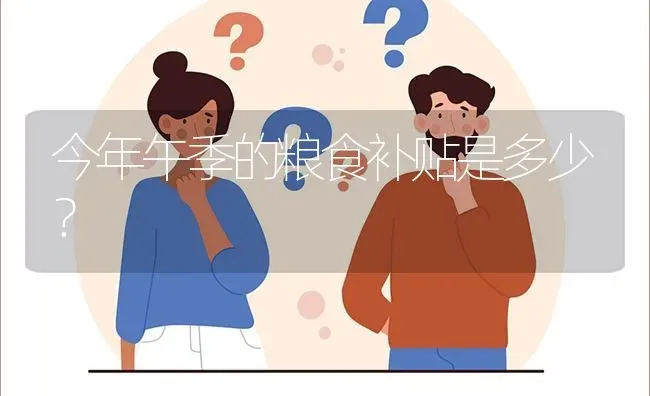 今年午季的粮食补贴是多少? | 养殖问题解答