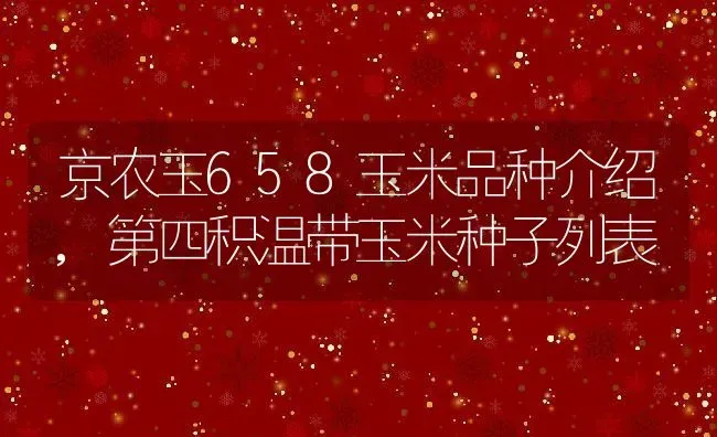 京农玉658玉米品种介绍,第四积温带玉米种子列表 | 养殖常见问题