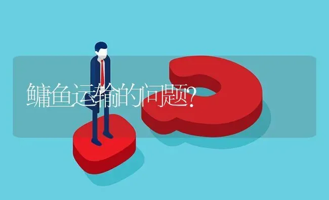鳙鱼运输的问题? | 养殖问题解答