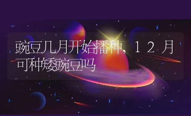 豌豆几月开始播种,12月可种矮豌豆吗 | 养殖常见问题