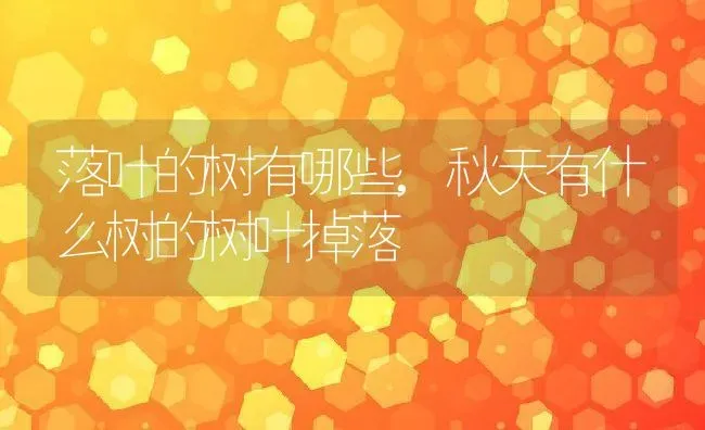 落叶的树有哪些,秋天有什么树的树叶掉落 | 养殖常见问题