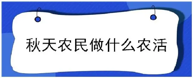 秋天农民做什么农活 | 生活常识