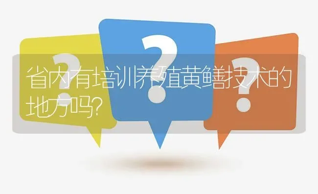 省内有培训养殖黄鳝技术的地方吗? | 养殖问题解答