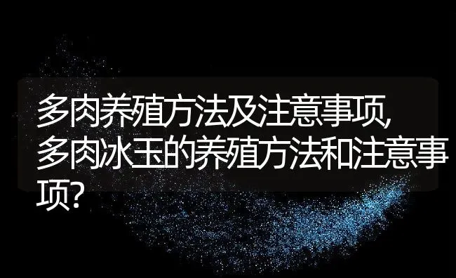 多肉养殖方法及注意事项,多肉冰玉的养殖方法和注意事项？ | 养殖常见问题