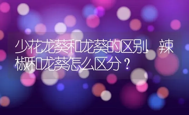 少花龙葵和龙葵的区别,辣椒和龙葵怎么区分？ | 养殖常见问题