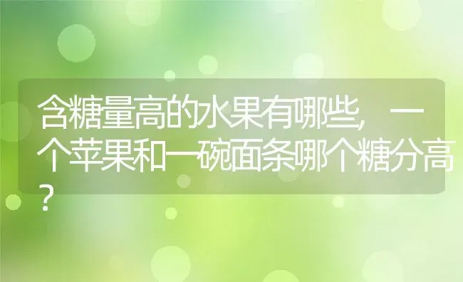 含糖量高的水果有哪些,一个苹果和一碗面条哪个糖分高？ | 养殖常见问题