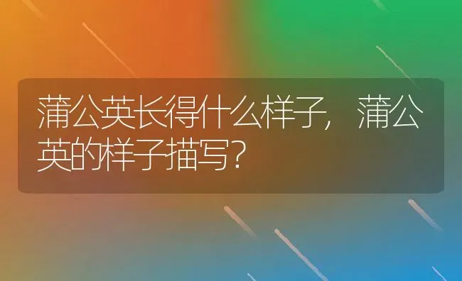 蒲公英长得什么样子,蒲公英的样子描写？ | 养殖常见问题
