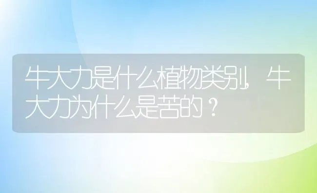 牛大力是什么植物类别,牛大力为什么是苦的？ | 养殖常见问题