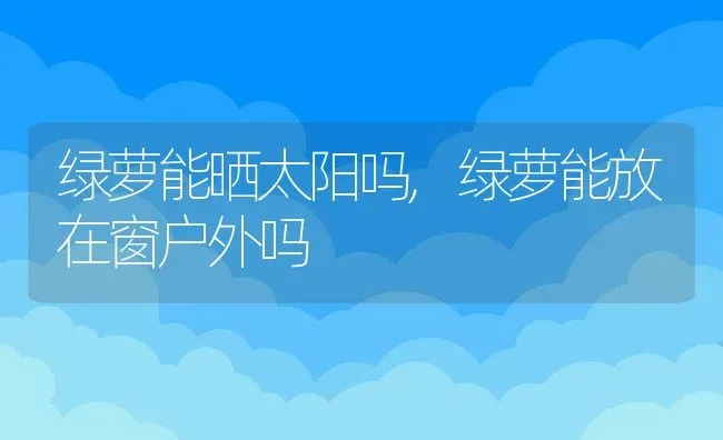 绿萝能晒太阳吗,绿萝能放在窗户外吗 | 养殖常见问题