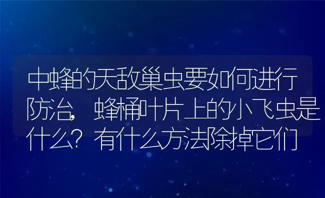 中蜂的天敌巢虫要如何进行防治,蜂桶叶片上的小飞虫是什么？有什么方法除掉它们 | 养殖常见问题