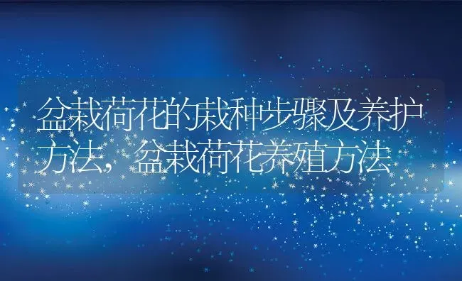 棠棣之花有什么寓意,古人用海棠形容什么 | 养殖常见问题