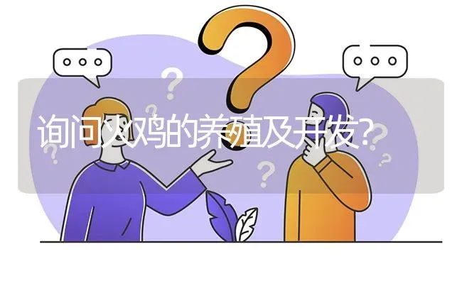 询问火鸡的养殖及开发? | 养殖问题解答