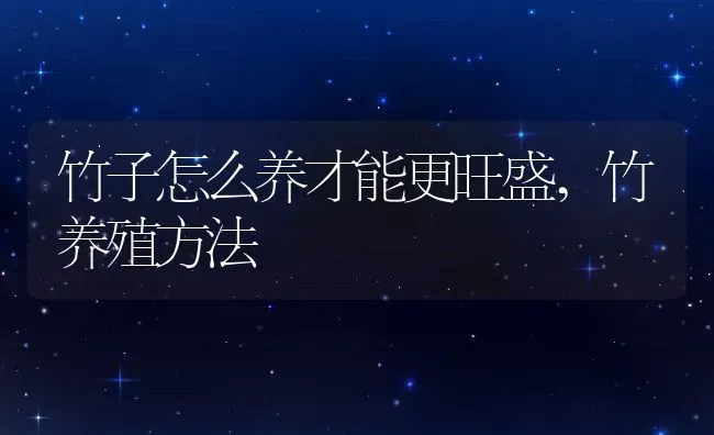 竹子怎么养才能更旺盛,竹养殖方法 | 养殖常见问题