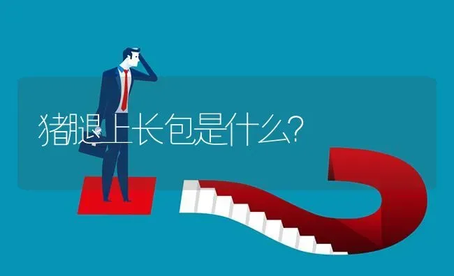 猪腿上长包是什么? | 养殖问题解答